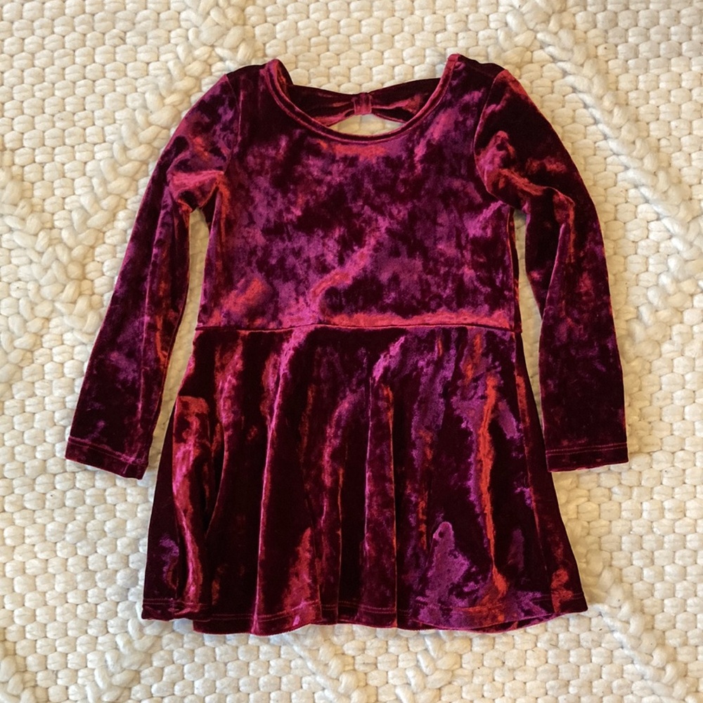 Velvety holiday dress
